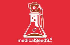 Medical Seeds FEM Promo