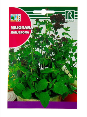 Rocalba Marjoram