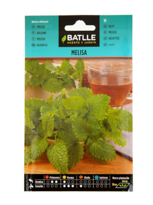 Lemon Balm