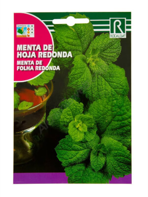 Menta de hoja redonda Rocalba