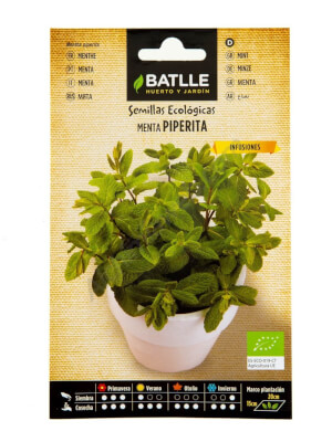 Menthe poivrée bio - Batlle