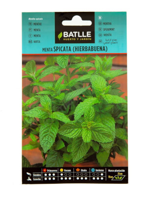 Batlle Menta Spicata (Spearmint)