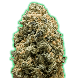 Monster Bruce Banner 