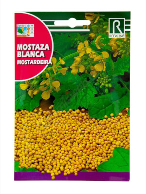 Mostaza Blanca - Rocalba