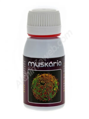 Muskaria by Agrobacterias