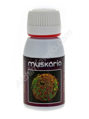 Muskaria