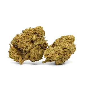 Flores de CBD Jungle Fruit Greenhouse
