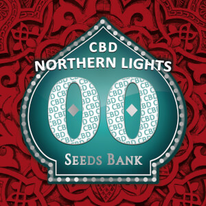 Northern Lights CBD