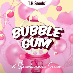 OG Bubblegum X SBC - Reg