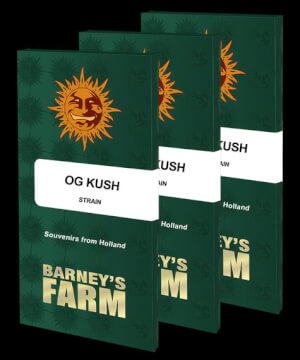 OG Kush de Barney's Farm