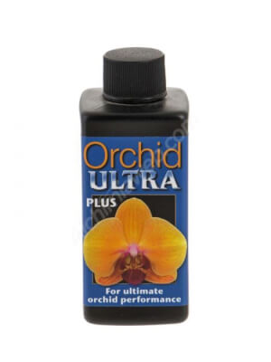 Orchid Ultra