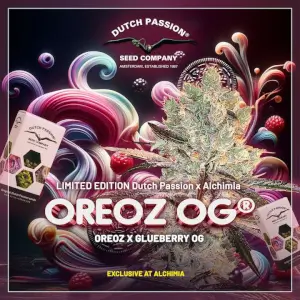 Oreoz OG Limited Edition