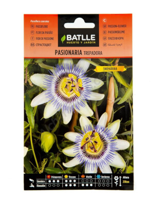 Passionera Enfiladissa Blanca - Batlle