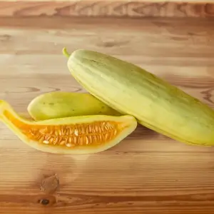 Metki White Armenian Cucumber von kokopelli