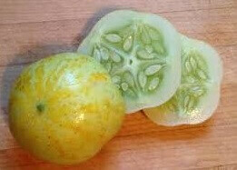 Organic Lemon Cucumber - Les Refardes