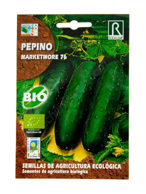 Rocalba Organic Marketmore Cucumber