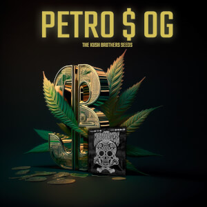 Petro $ OG