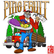 Pine Fruit - Regular