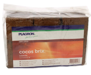 Cocos Brix de Plagron