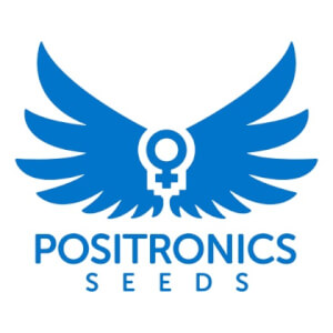 Positronics Auto Promo