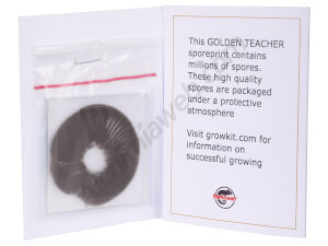 Empreinte de spores Golden Teacher