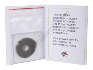 Mexico spores print