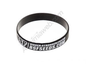 BSF promo rubber bracelet