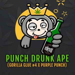 Punch Drunk Ape 
