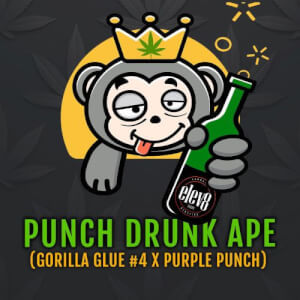 Punch Drunk Ape