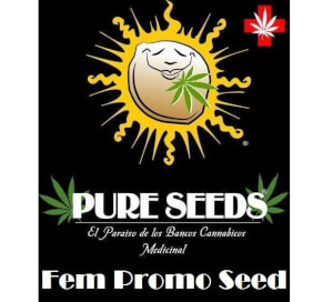 Pure Seeds promo féminisée