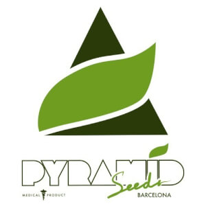 Pyramid Seeds Feminizada Promo