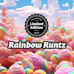 Rainbow Runtz
