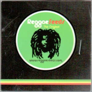 Reggae Regular Promo
