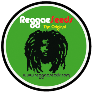 Reggae Seeds Regular Promo