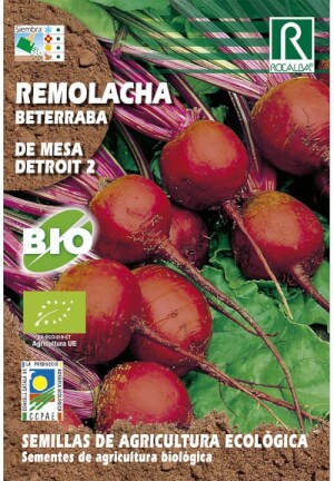 Remolacha de mesa Bio Detroit 2 