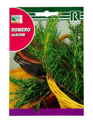 Rocalba Rosemary