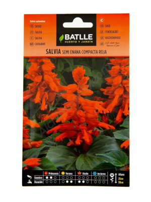 Salvia Semi Enana Rojo Fuego - Batlle