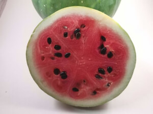 Organic Country Watermelon - Les Refardes