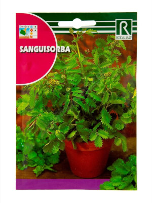 Rocalba Sanguisorba