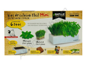 Kit de culture Seed Box Mini BATLLE – Herbes à chat