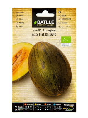 Batlle Toad Skin Melon Organic Seeds
