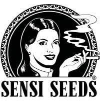 Sensi Seeds Promo Feminized