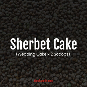 Sherbet Cake