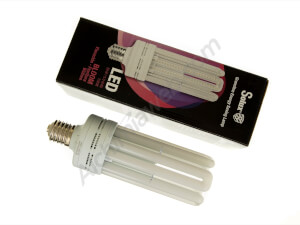 Solux Light Bulb LED bloom