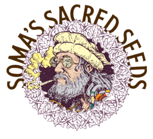 Soma Sacred Seeds Feminizada