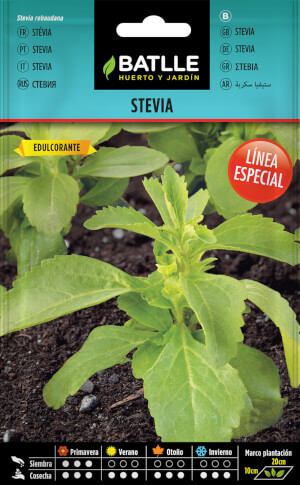 Stevia - Batlle