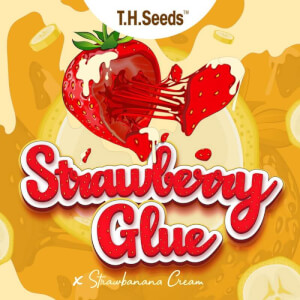 Strawberry Glue X SBC