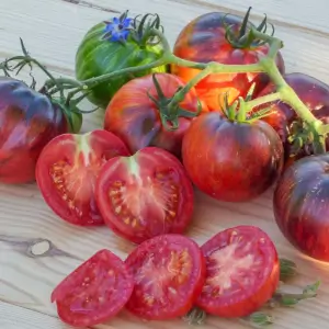 Kaleidoscopic Jewel Tomato