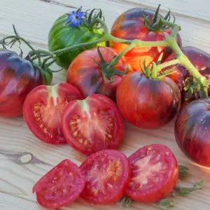 Tomate Kaleidoscopic Jewel