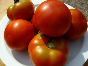 Organic Pometa Tomato - Les Refardes